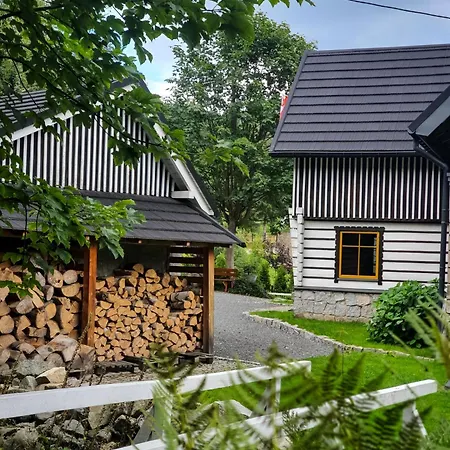 Дом отдыха Borszowka By The Creek Exclusive, With Access To A Pool, Sauna, And Hot Tub