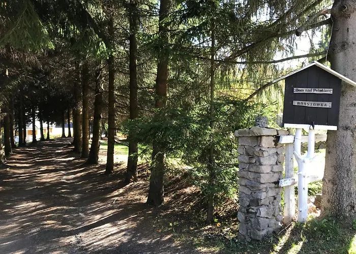 Holiday home Borszowka By The Creek Exclusive, With Access To A Pool, Sauna, And Hot Tub