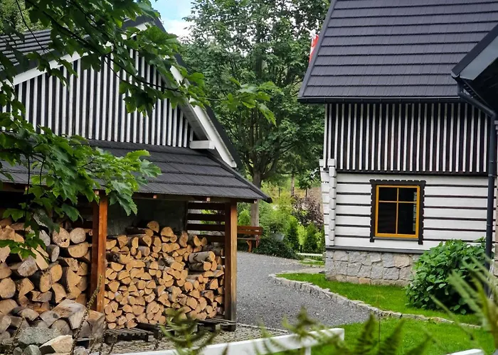 Holiday home Borszowka By The Creek Exclusive, With Access To A Pool, Sauna, And Hot Tub