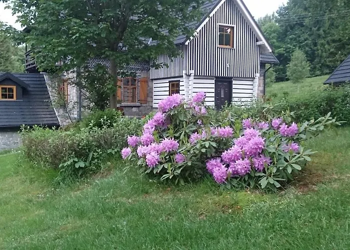 Borszowka By The Creek Exclusive, With Access To A Pool, Sauna, And Hot Tub Holiday home Szklarska Poreba